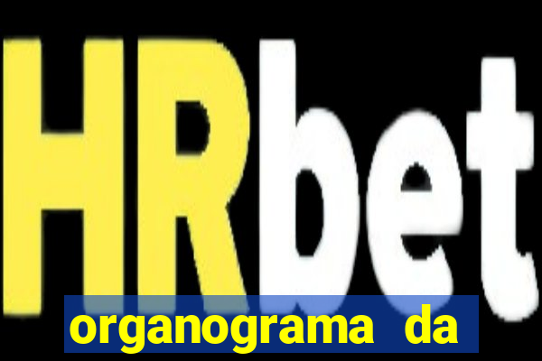 organograma da cacau show